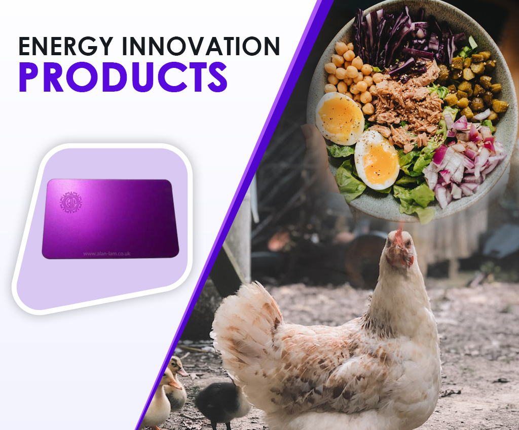 Energy Innovation Positive Energy Plates comparing a chicken with a plate of food