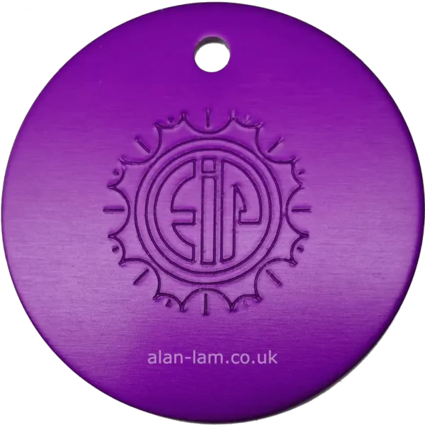 large_disc_purple_plate_front_view large disc purple plate front view