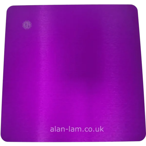 large_plate_purple_plate_front_view large plate purple plate front view